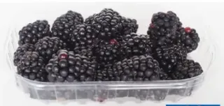 Blackberries