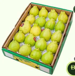 Guava Box
