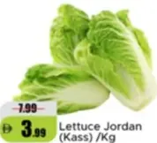 Lettuce Jordan (Kass)