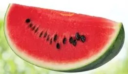بطيخ أحمر