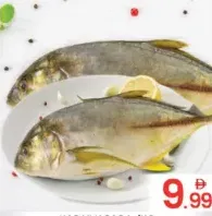 Kaduvapara