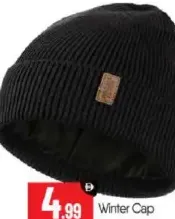 Winter Cap