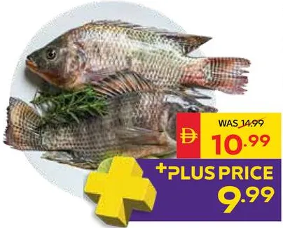 Fresh Tilapia, Egypt