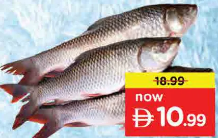 Rohu Fresh