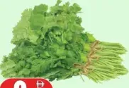 أوراق خضراء