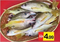 نهاش أسود البقعة (نيسر)