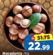Macadamia