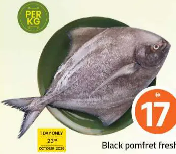 Black Pomfret Fresh