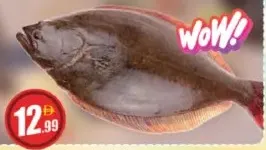 Halibut (Aayiram Palli)