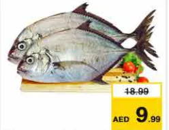 سمك بارا طازج