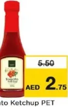 Corazo Tomato Ketchup Pet