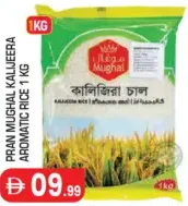 Hala Mughal Aromatic Rice