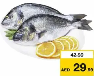 سمك سيبريم (محلي