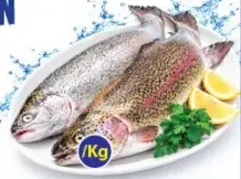 Salmon Iran