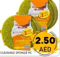 Cleaning Sponge