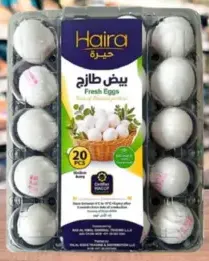 Haira بيض طازج Hr20