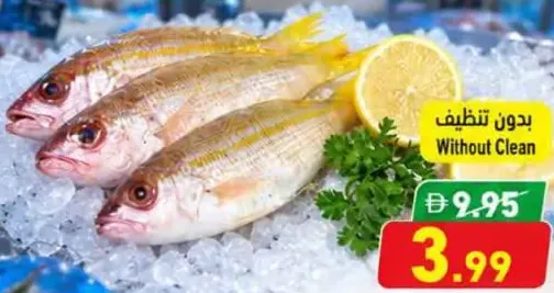 Frsh Naisser صغير بدون تنظيف