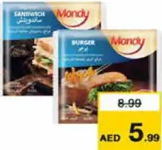 Mondy Cheese Slices Sandwich/Burger