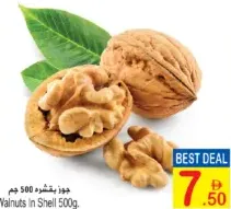 Walnuts In Shell