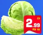 Cabbage