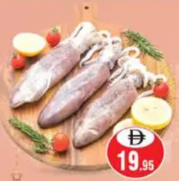 Fresh Squid Big