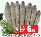 Fresh fish macrona