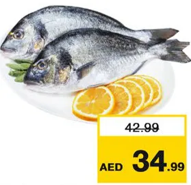 سيبريم كبير