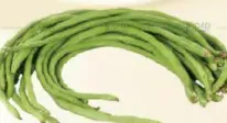 فاصوليا طويلة