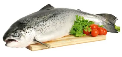 Norwegian Salmon Whole