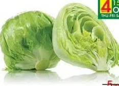 Lettuce Iceberg-Jordan