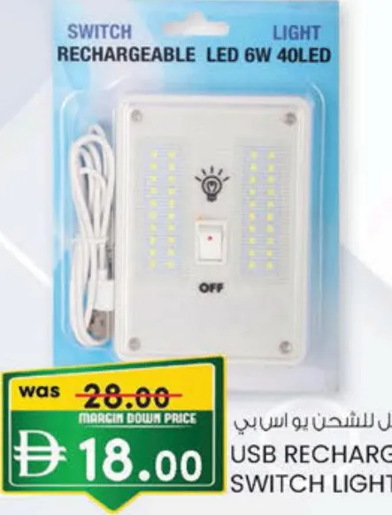 Usb Rechargeable Switch Light 6W 40LED SN4202