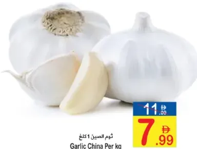 Garlic China