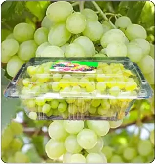 Grapes White Pack