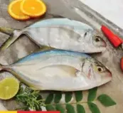 Fresh Fish Faru