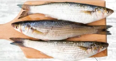 Biya Fish