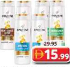 Pantene Shampoo Assorted