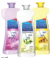 Loyal Multi-Purpose Household Deodorizer