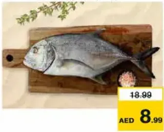سمك بارا أسود كامل