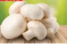 Mushroom Oman