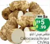 Colocasia/Aravi Ch