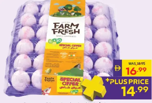 Farm Fresh البيض الأبيض متوسط الحجم