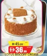 Lotus Biscoff Cream Cake
