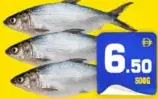 Milk Fish
