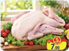 Duck Meat