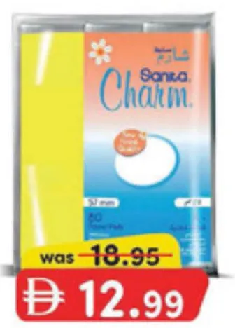 Sanita Charm Beauty Touch Make Up Pad