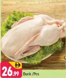 Duck