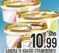 Sandra Iv/Adagio Ice Cream Strawberry/Pistachio/Choco/Vanilla