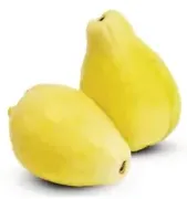جوافه مصرية