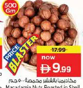 Macadamia Nuts Roasted in Shell