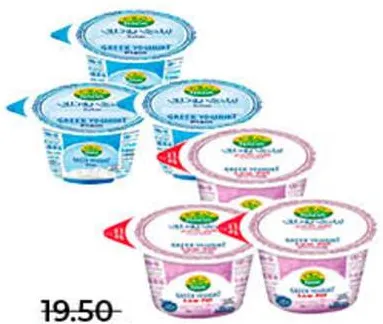 Nada Greek Yoghurt Assorted